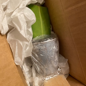 Pamela added a photo of their purchase