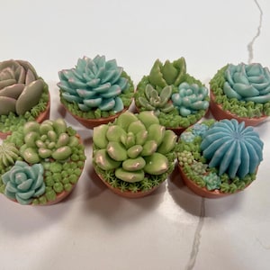 Sue added a photo of their purchase