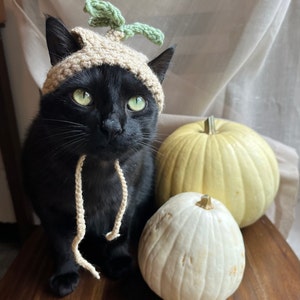 Kymberly added a photo of their purchase