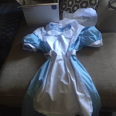 ALICE IN WONDERLAND Costume for Adults - Etsy