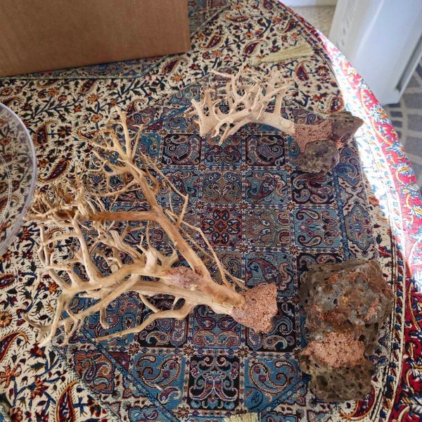 3pack Bonsai Driftwood Aquarium Trees on Rock 4 Height Handcrafted