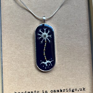 Plant Cell Key Chain Key Ring Cell Biology, Biology Gift, Key Chain ...