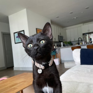 Andrea added a photo of their purchase