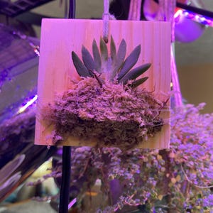 Angela added a photo of their purchase