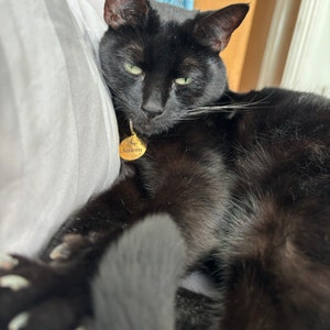 Jessie ha añadido una foto de su compra