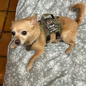 Remy added a photo of their purchase