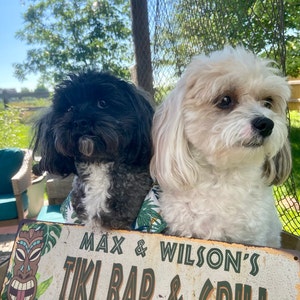 KOOBS added a photo of their purchase