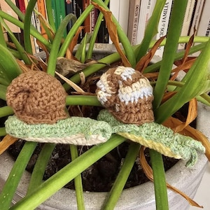 Bárbara added a photo of their purchase