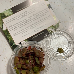 Kelly added a photo of their purchase