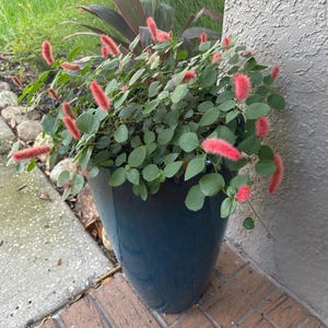 Melissa added a photo of their purchase