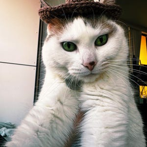Sam hat ein Foto des gekauften Artikels hinzugefügt