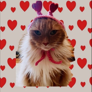 JIAHG Chapeau Cœur En Peluche Rouge – Déguisement Adulte Pour Halloween, Carnaval, Saint-Valentin Et Séance Photo