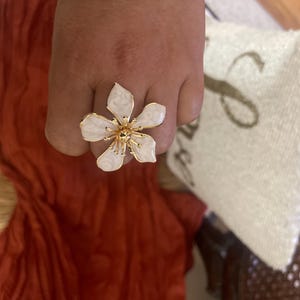 Michele added a photo of their purchase