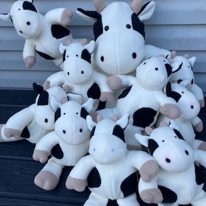 Rachel added a photo of their purchase