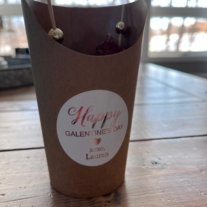 Charcuterie Favor Cups and Toothpicks for Individual Charcuterie Cheese Board Food Display Appetizer Grazing Snack Cup Catered Event Wedding