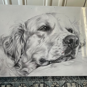 Nicole added a photo of their purchase