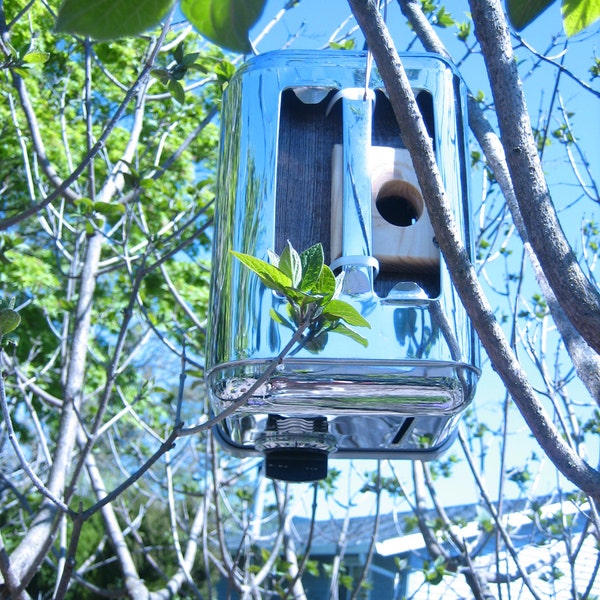 Tree Predator Guard Birdhouse Predator Guard - Etsy