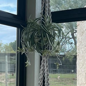 Becky added a photo of their purchase