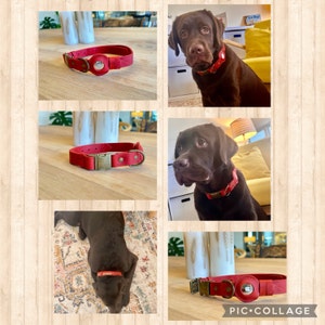 Shawn added a photo of their purchase