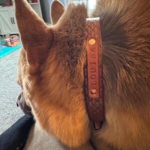 Nicole added a photo of their purchase