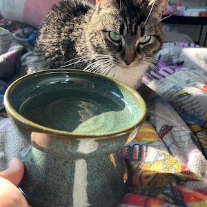 Gweneviere added a photo of their purchase
