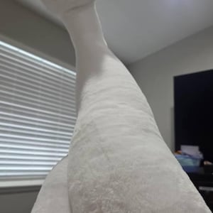 Samantha added a photo of their purchase