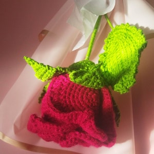 Vane added a photo of their purchase