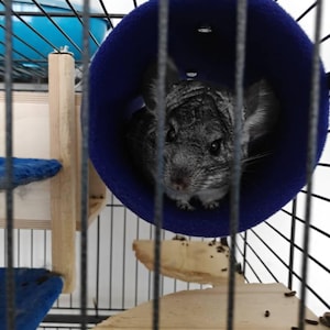 Martin added a photo of their purchase