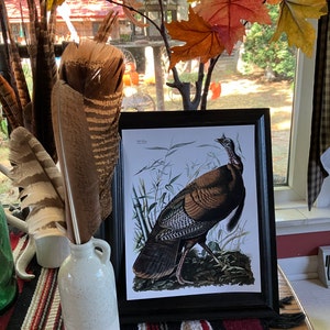 Donna added a photo of their purchase