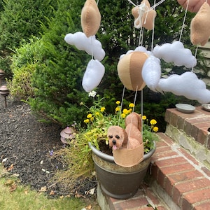 Molly added a photo of their purchase