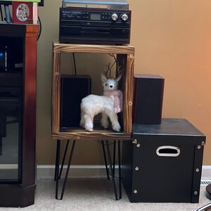 Stephanie added a photo of their purchase