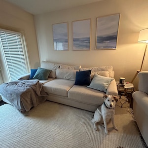 Maddy added a photo of their purchase