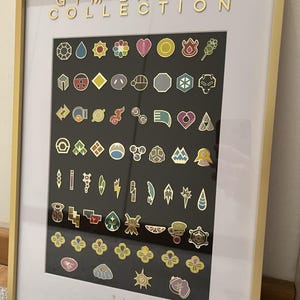 フレーム付きコレクション ポケモンバッジ コンプリート カントー