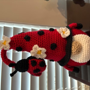 Carol added a photo of their purchase