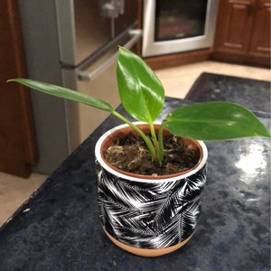 Keith added a photo of their purchase