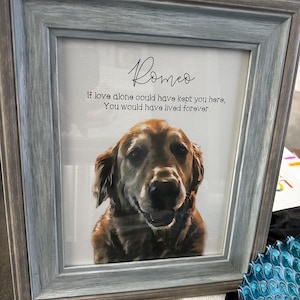 Sas added a photo of their purchase