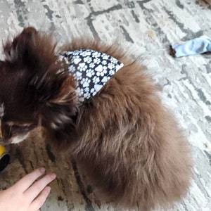 ITS DOG Organic One-Piece Ruffle Neck Collar main image 1