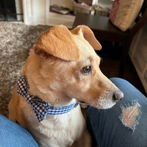 Comprador de Etsy ha añadido una foto de su compra