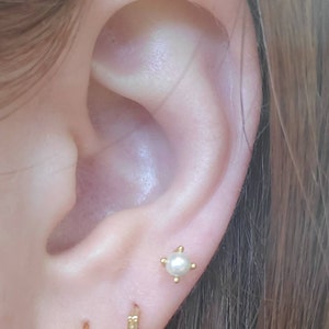 Sophie added a photo of their purchase