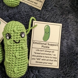 PRINTABLE Emotional Support Pickle - Iap 300x300.5121938521 Fiv1ob85 