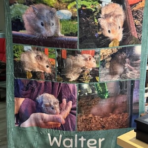Katja added a photo of their purchase