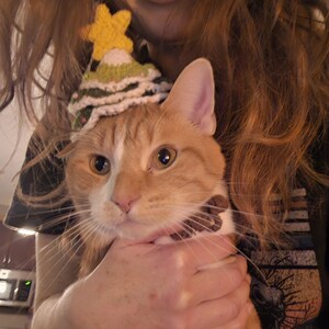 Katie ha añadido una foto de su compra