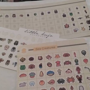 Alli added a photo of their purchase