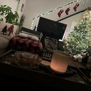 NormularX added a photo of their purchase