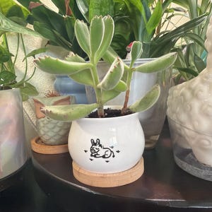 Shay added a photo of their purchase