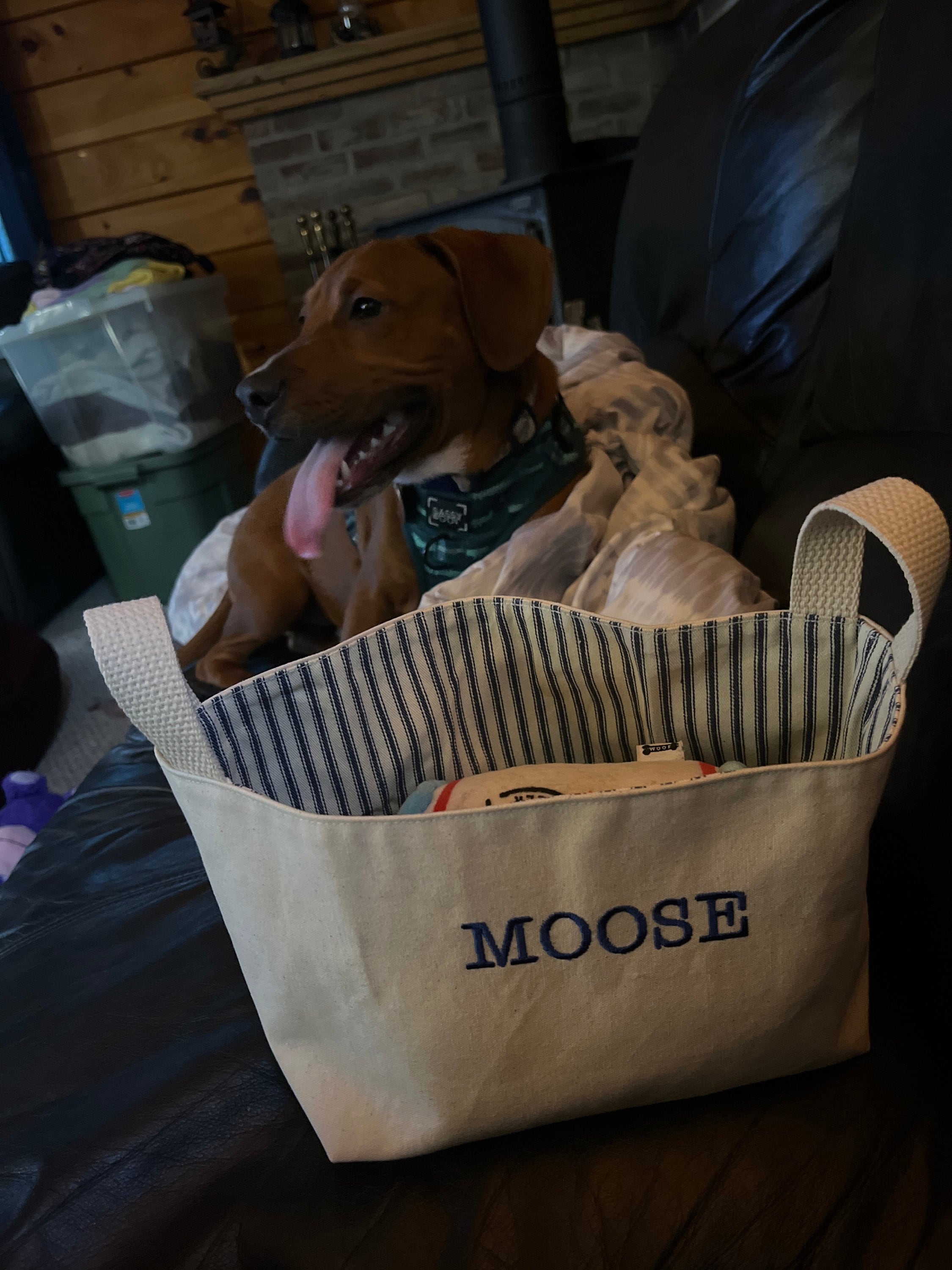Personalized Storage Basket, Fabric Diaper Caddy for Baby Gift, Custom Canvas Toy Basket
