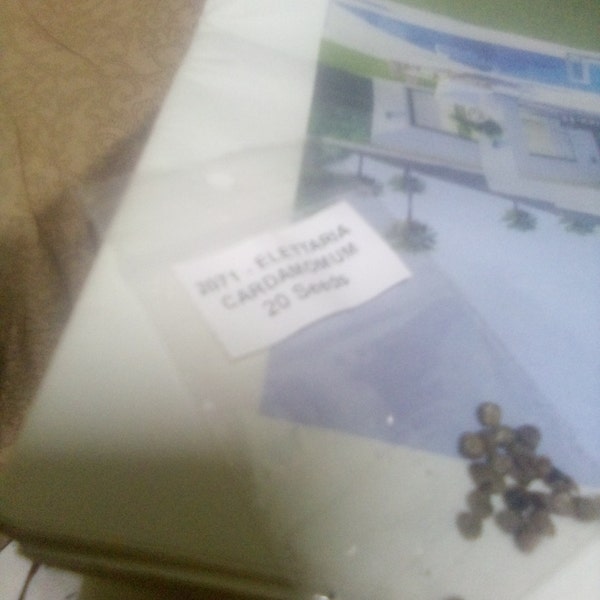 10 Semi Di Ceiba Speciosa = Chorisia Speciosa,albero Bottiglia Del Falso Kapok - Foto 5