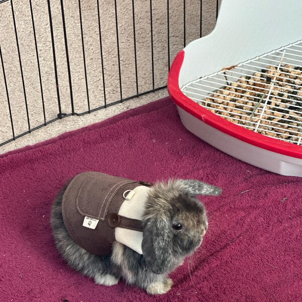 Stripe Harness for Only Rabbit (vest, Boy) - Etsy