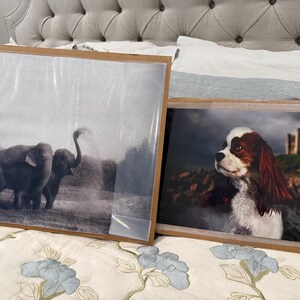 Tracy added a photo of their purchase