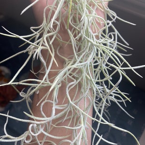 Etsy-koper heeft een foto van zijn/haar aankoop toegevoegd